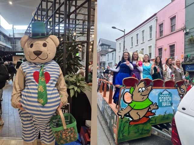 Celebrating the St Patricks Music (9)